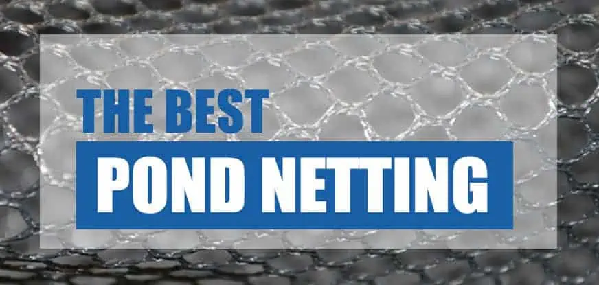 Best Pond Netting and Covers 2024 (Compared) - Pond Informer