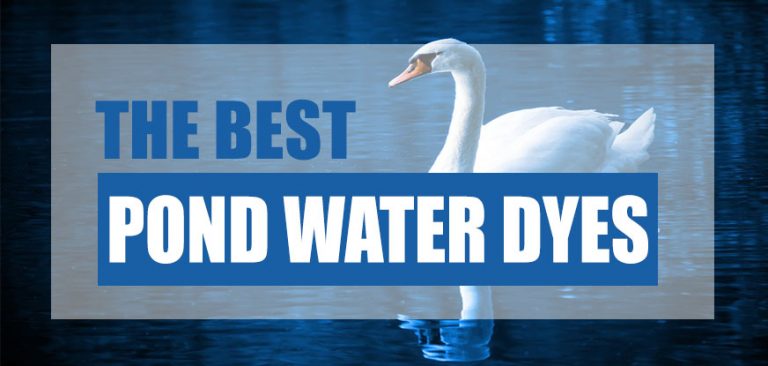 Best Pond Dye 2023 (Reviews & Comparison) - Pond Informer