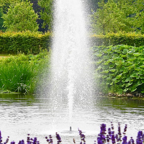a fountain aerates a pond