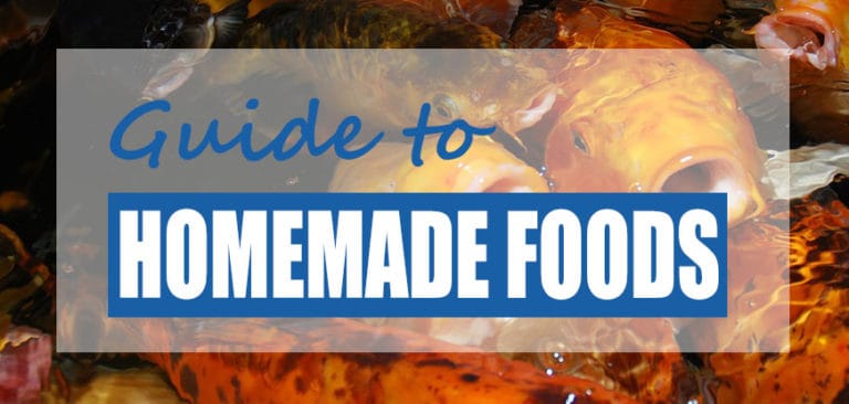 View of Homemade Koi Food Recipes (How To Make Pellets) - Pond Informer