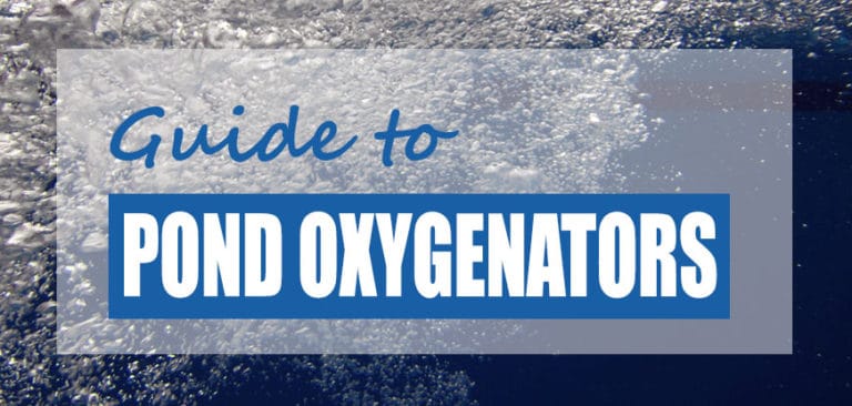 Best Pond Oxygenator Methods (Increase Dissolved Oxygen) - Pond Informer