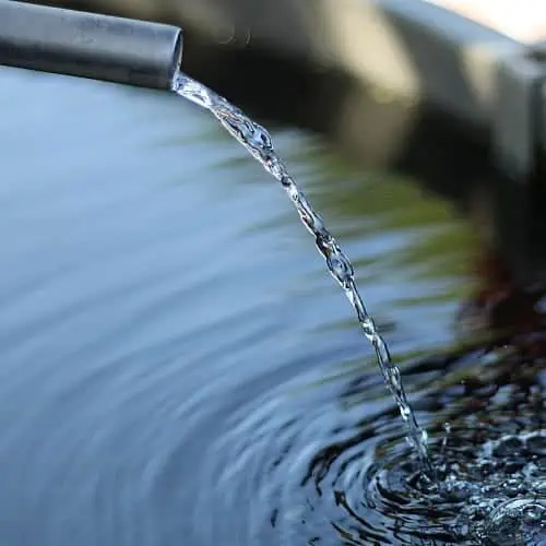 Changing pond water before a potassium permanganate treatment