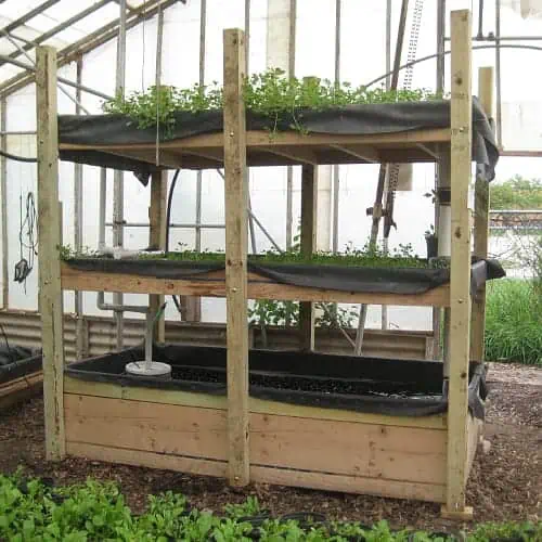 A portable aquaponics system with watercress