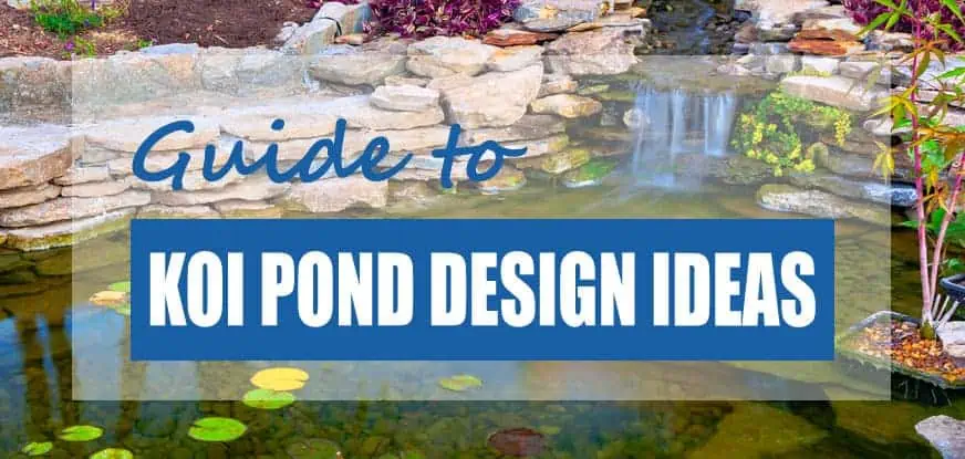 pond decorating ideas