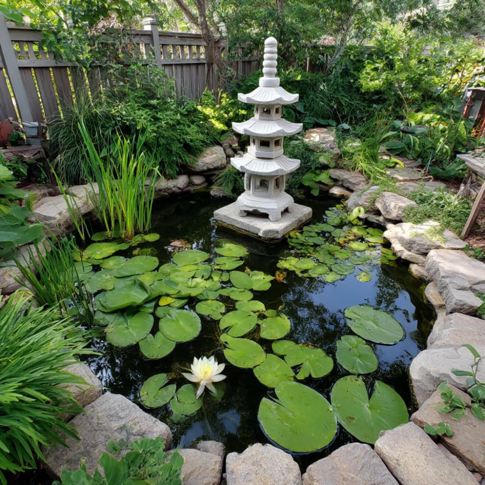 Koi pond with pagoda sculpture and lily pads
