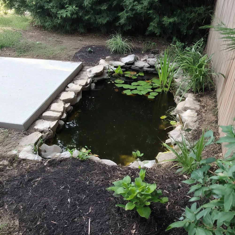 Small pond with soil, edge plants, and a concrete slab