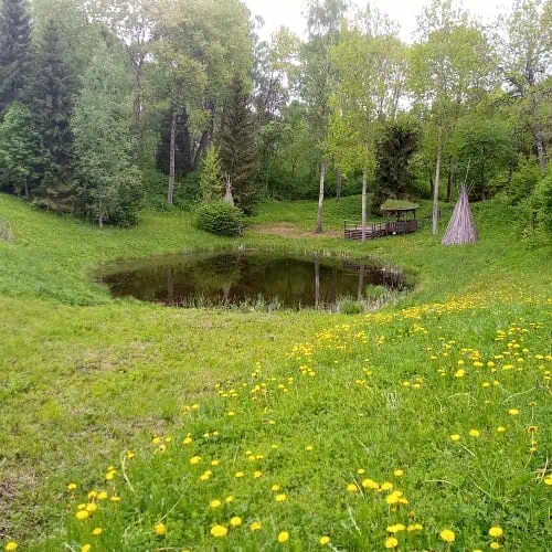 A kettle pond in a field