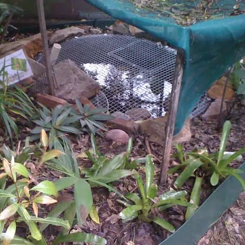 Pond with a thick mesh cover