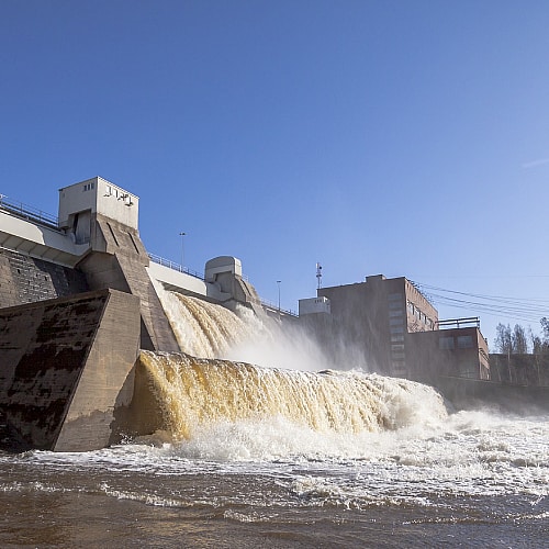 hydroelectric dam threat to white-throated dipper birds