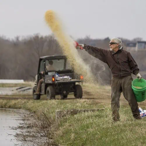 Man fertilizing a pond