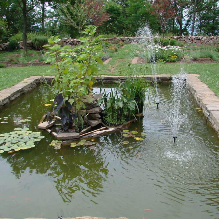 30 Outdoor Goldfish Pond Design Ideas - Pond Informer