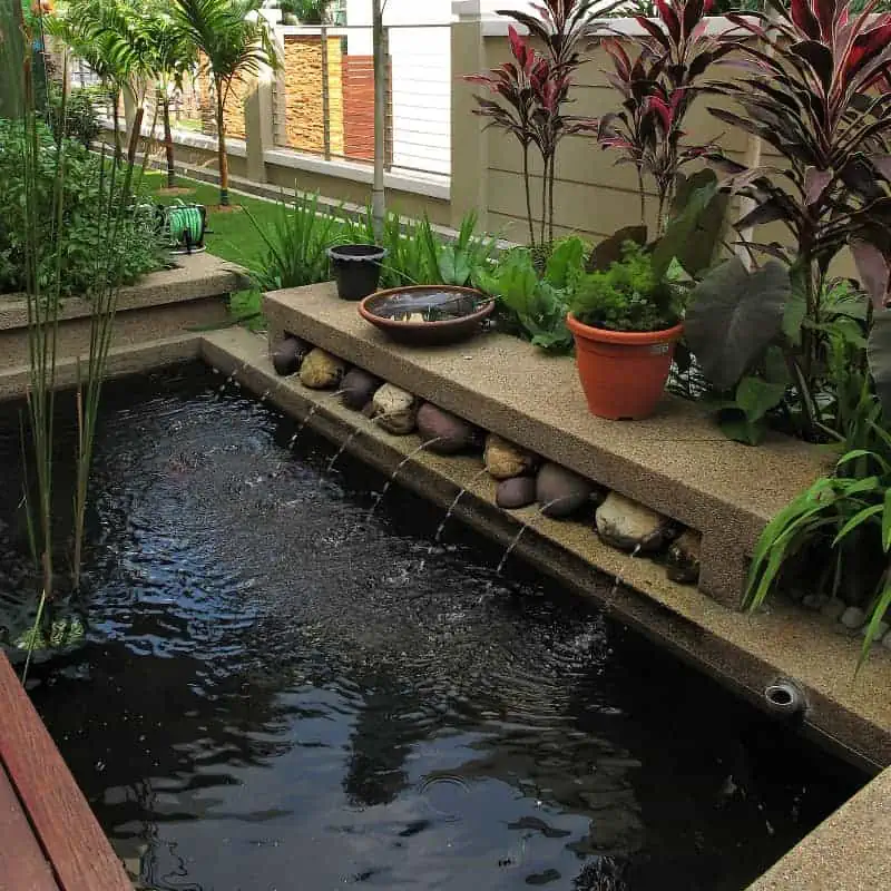 Stone goldfish pond with water feature