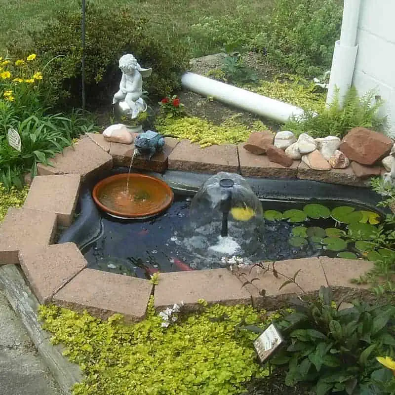 Small goldfish pond with fountain