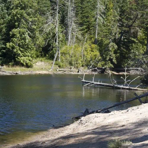 Crappie pond
