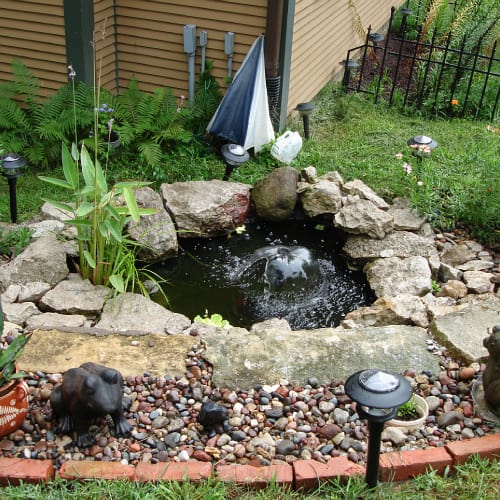 Backyard pond