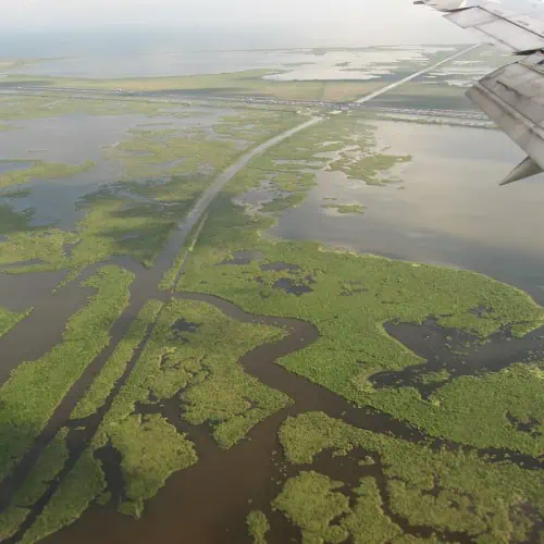 Bayou Piquant Wetlands, Louisiana