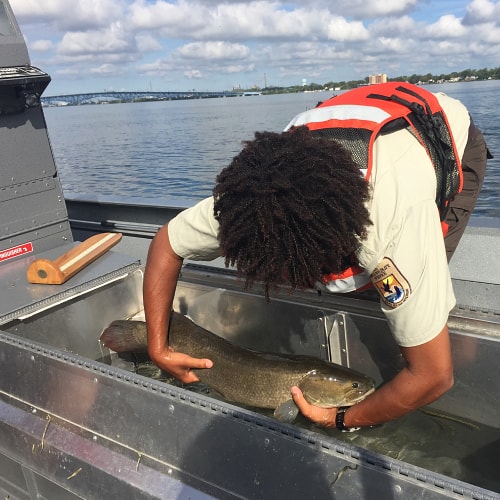 Man holding bowfin