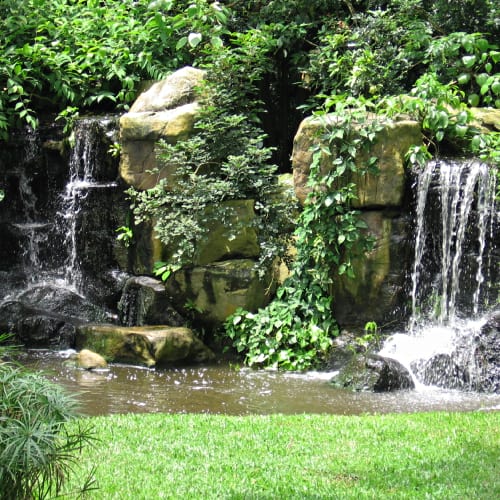 Pond with waterfall
