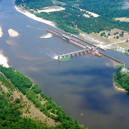 List of Fish Species in Coffeeville Lake (Updated) Pond Informer