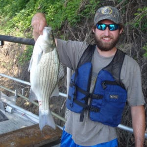 List of Fish Species in Lake Harding 2023 [Updated] - Pond Informer