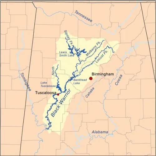 List of Fish Species in Lake Tuscaloosa (Updated) Pond Informer