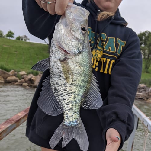 Person holding white crappie
