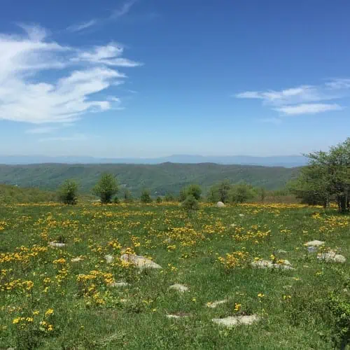 Appalachian Mountains range