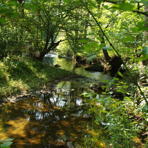Burrows Run, Delaware