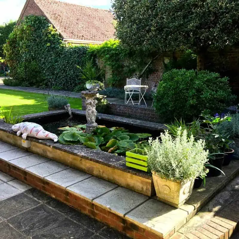 Raised pond with plants and decor