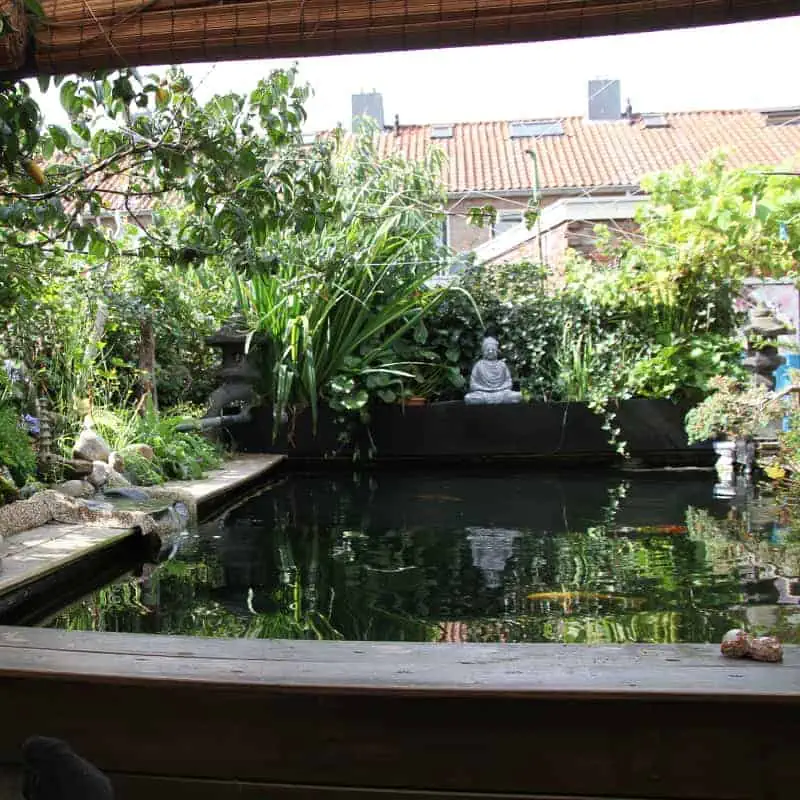 Raised oriental-style pond