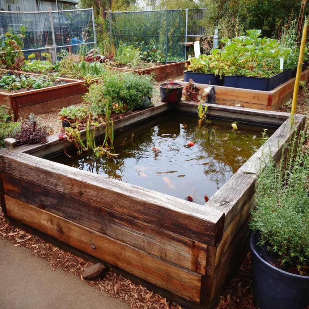 Raised pond made out of wooden planks
