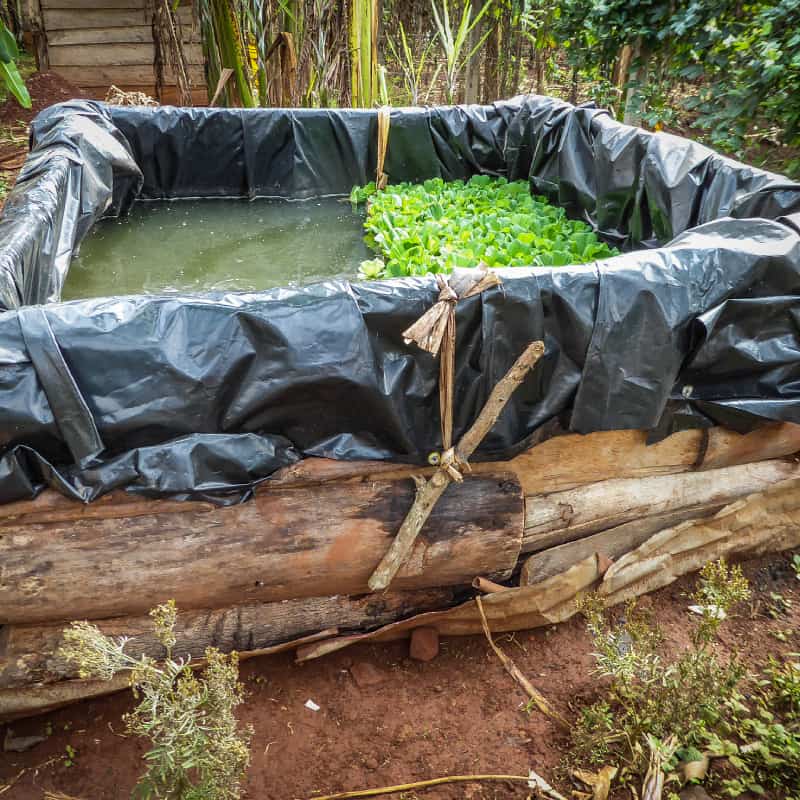 Raised pond with liner