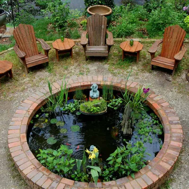 Raised circular pond with plants
