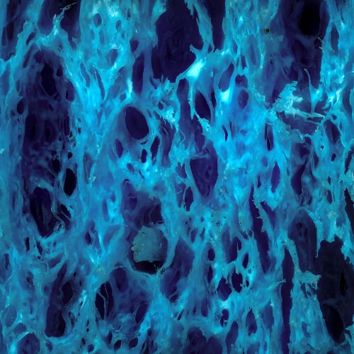 Microscope image of cellulose