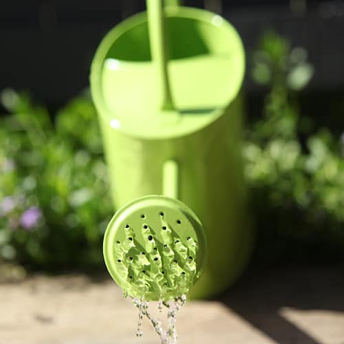 Watering can