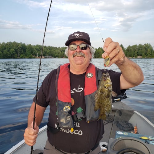 Man holding caught rock bass