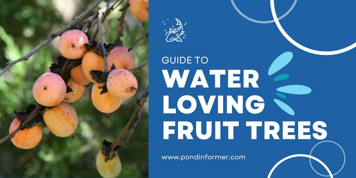 10 Best Water Loving Fruit Trees (Top Species) Pond Informer