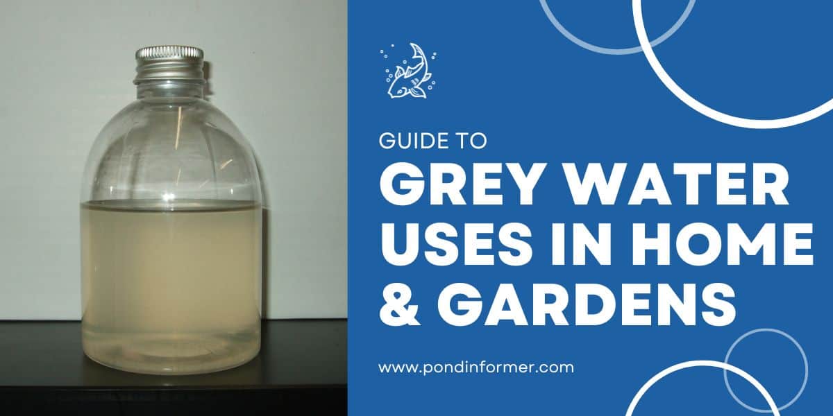 What Is Grey Water? (Surprising Facts & Uses) Pond Informer