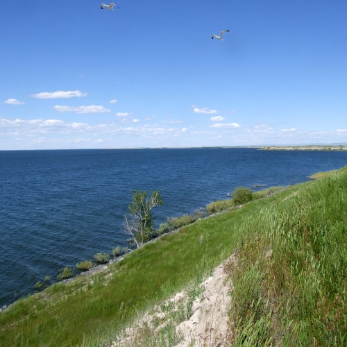 American Falls Reservoir