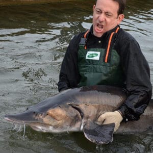 Top 15 Largest Fish to Ever Exist (Extinct & Living) - Pond Informer