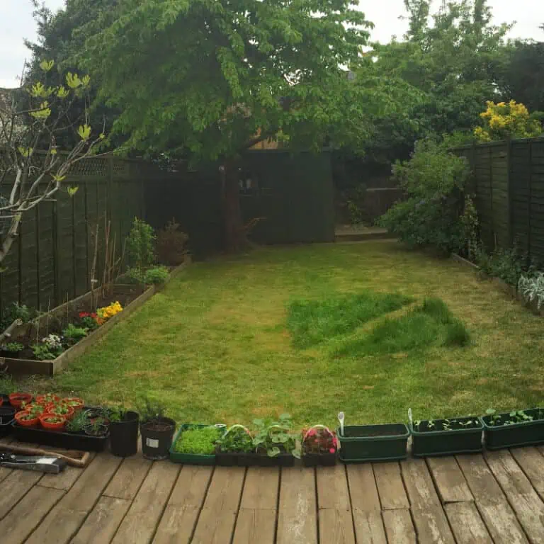 25 Garden Design Ideas on a Budget Pond Informer