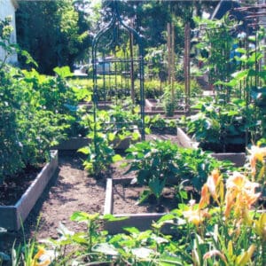 25 Garden Design Ideas on a Budget - Pond Informer