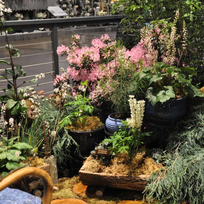 Balcony plants of varying heights