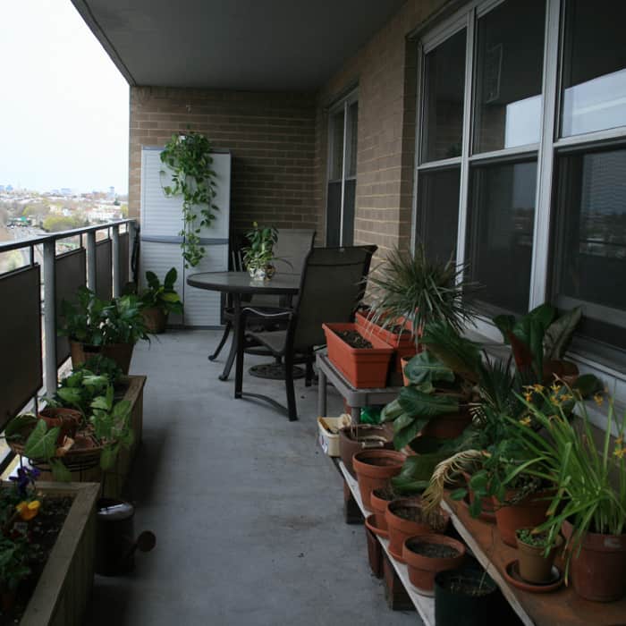 Balcony with various plants