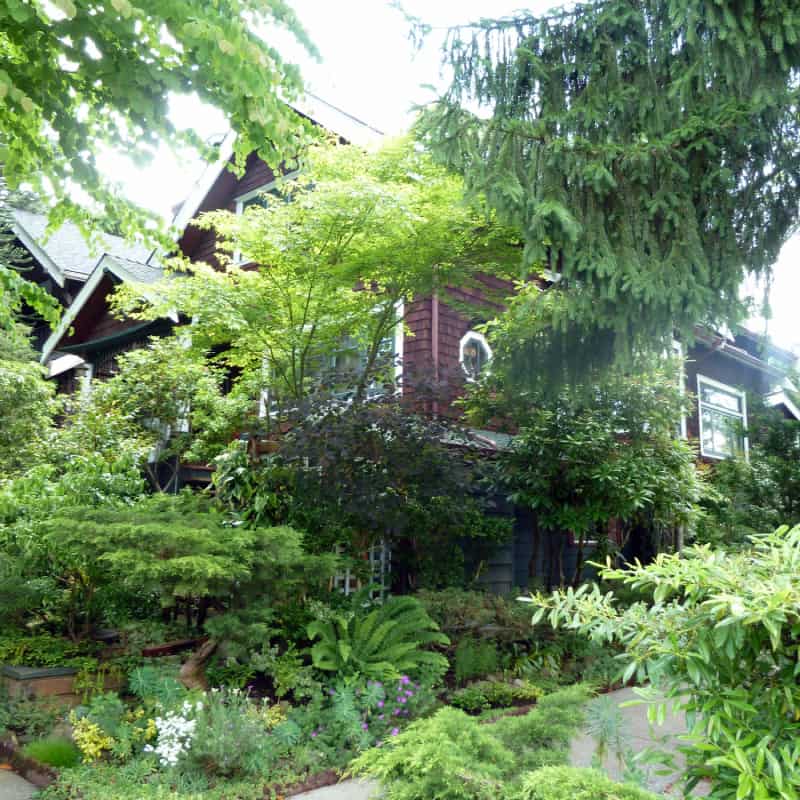 Garden at front of house