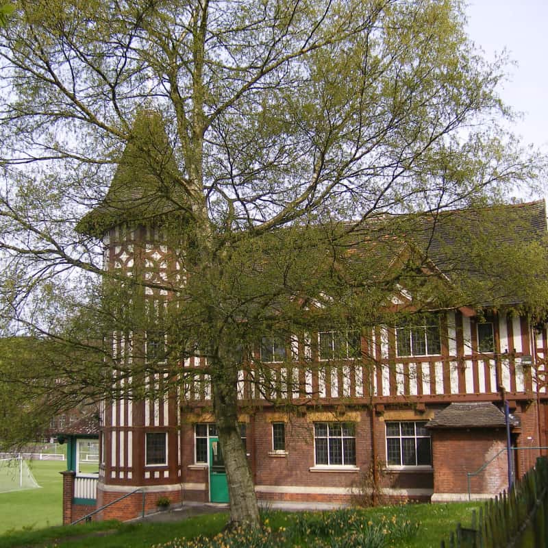 Tall specimen tree in front of house