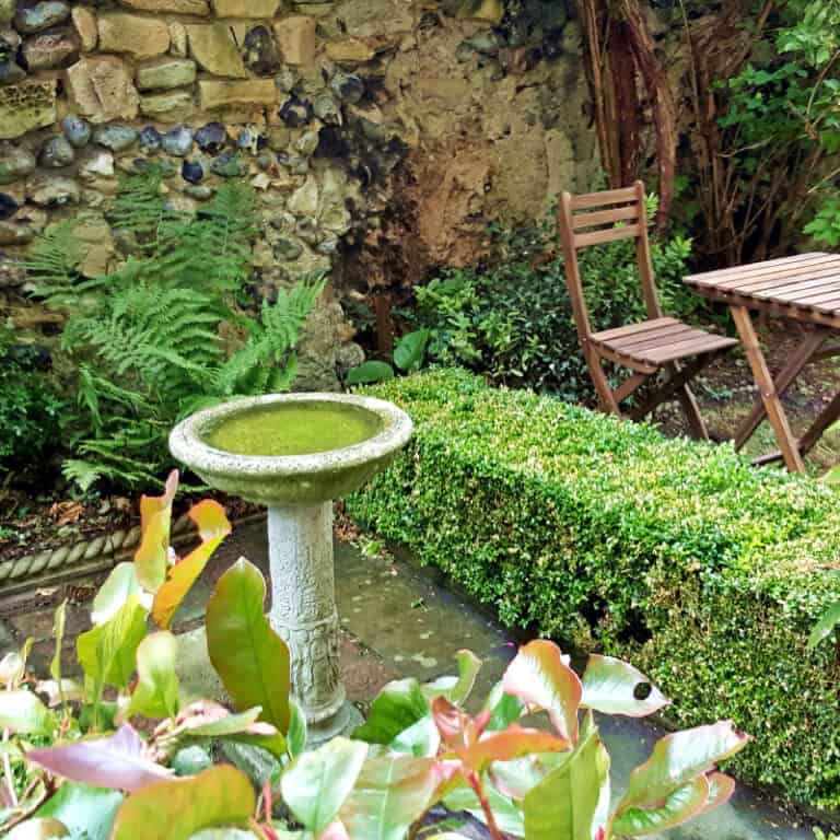 25 Garden Design Ideas for Long & Narrow Gardens - Pond Informer