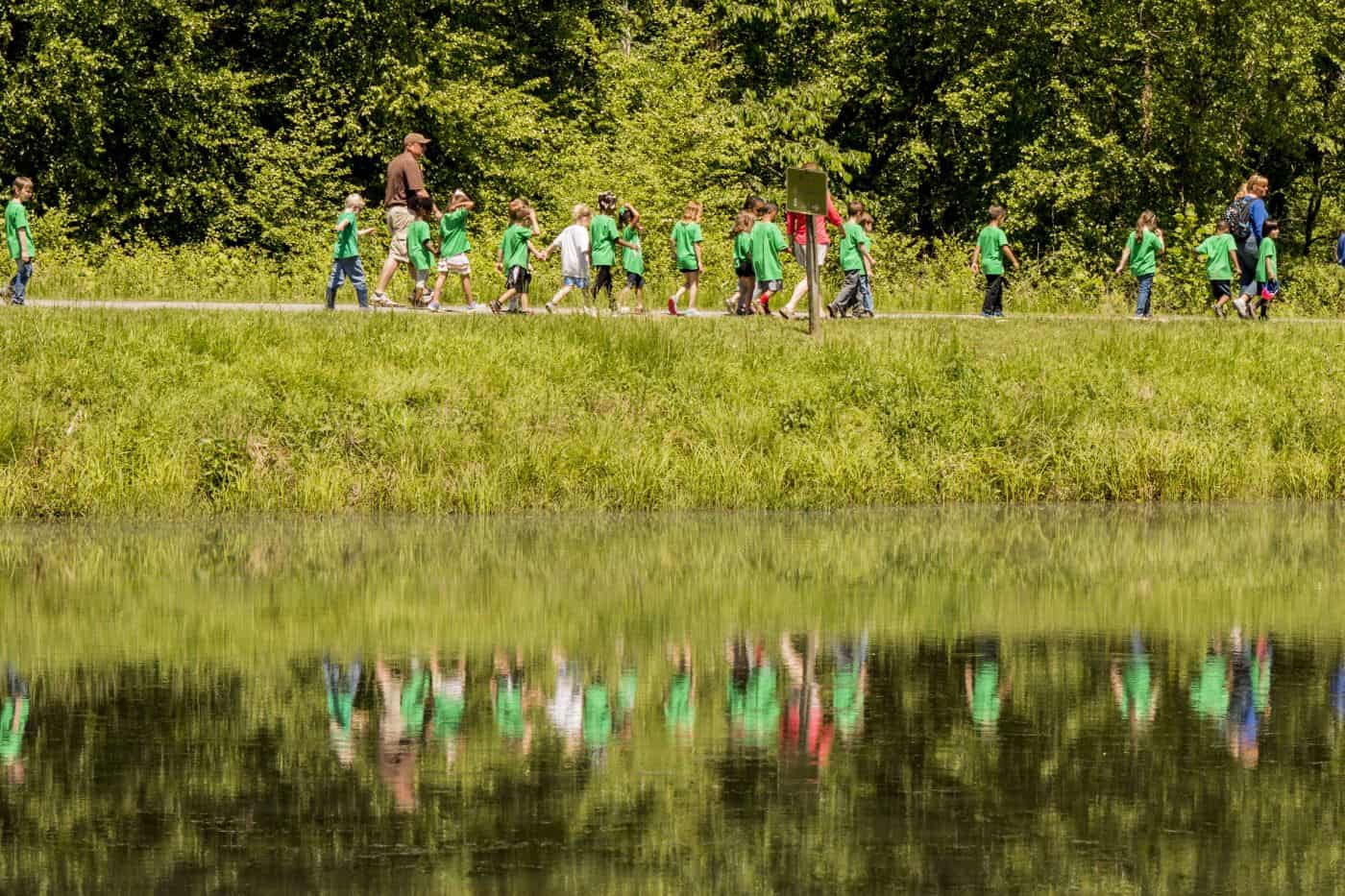 Picture of Ponds as Educational Learning Tools - Pond Informer