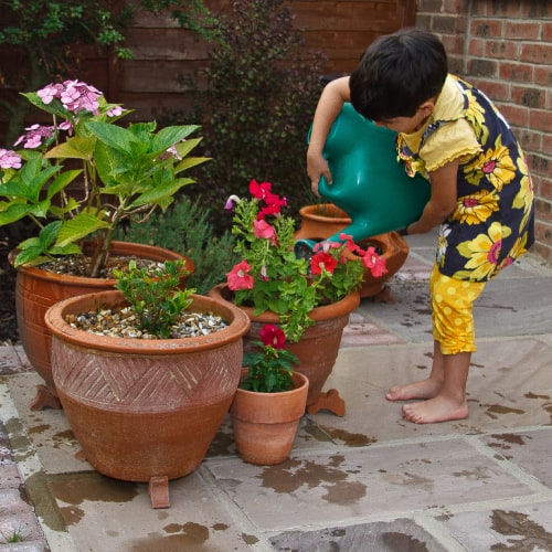 Young child watering plants