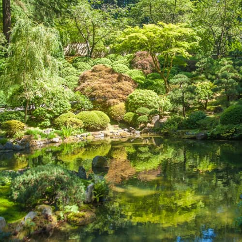 Japanese-style garden